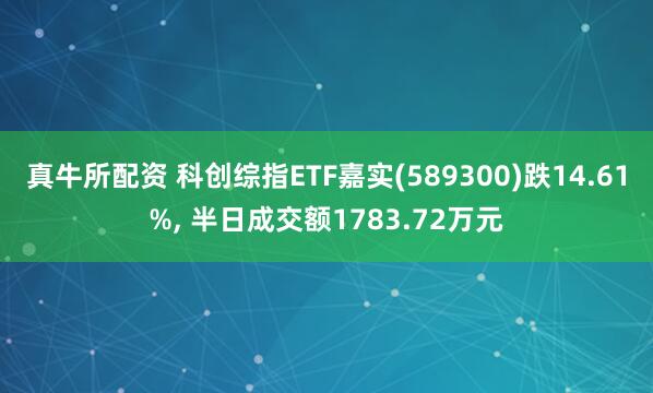 真牛所配资 科创综指ETF嘉实(589300)跌14.61%, 半日成交额1783.72万元
