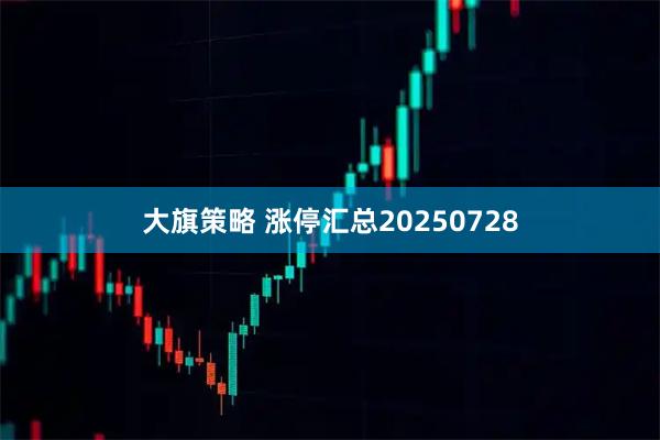 大旗策略 涨停汇总20250728